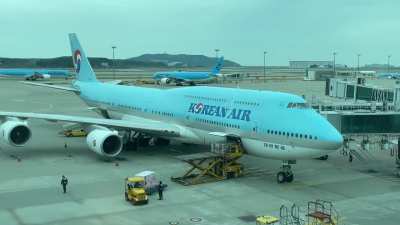 Queen and a few friends at ICN today (OC)