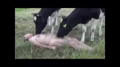 Manchester (3) - 2 QPR Sergio Aguero 94'