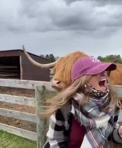 WCGW if you don’t read the damn sign.