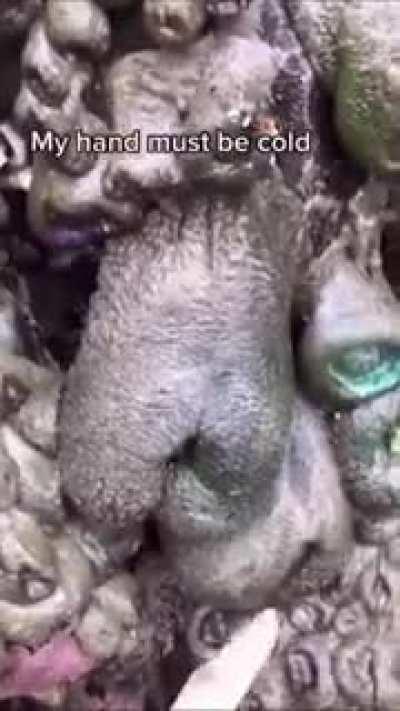 Noooo it's too late.