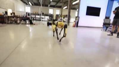 Парни распаковывают свежекупленную за 75 килобаксов робособаку - Спота.