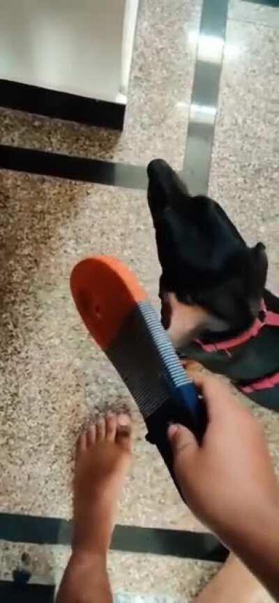 Did he do it or did he?