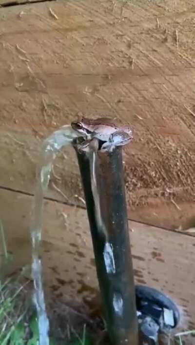 THINE BLESSED TOAD OF HOLY WATER +30 healing +40 religious strength