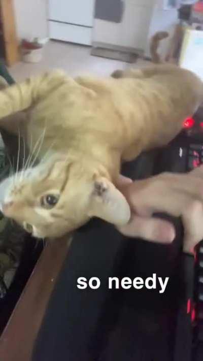 that work from home life