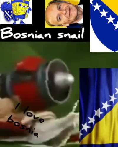 Bosnian snail
