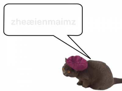 Made with my pet cat