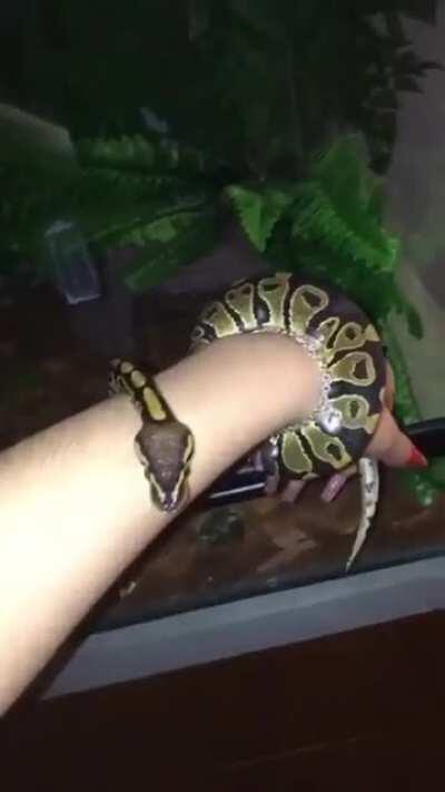 Natalia Becker @natbeckerdj