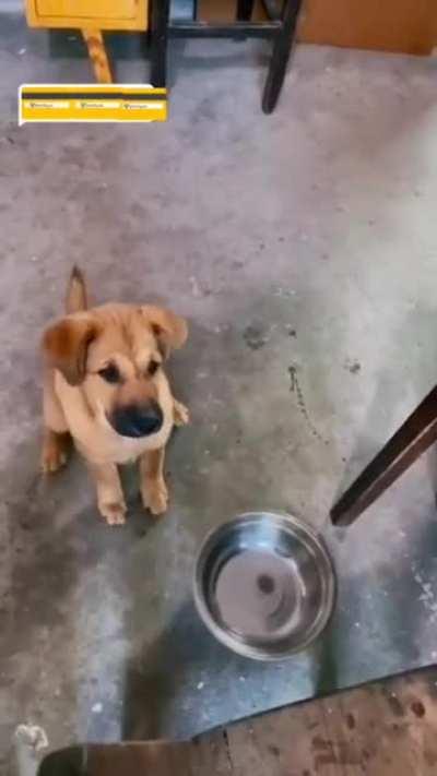 You see that empty bowl, Karen?! Why ain’t it full? Huh?!