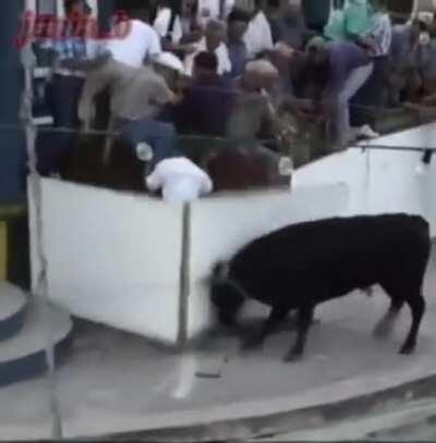 Free fire high elo ngm se mete