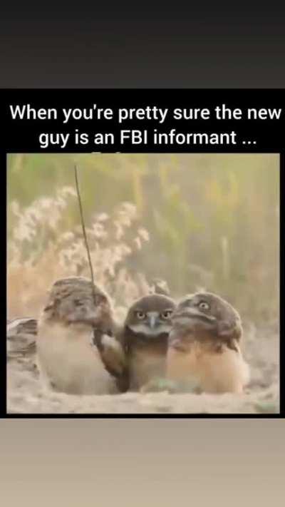 New guy keeps asking some really specific questions...