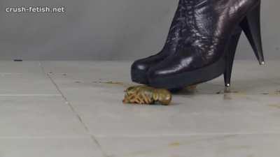 beautiful Jocelyn boots