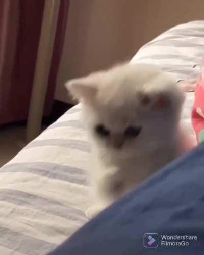 Prepare to endure my strongest attack