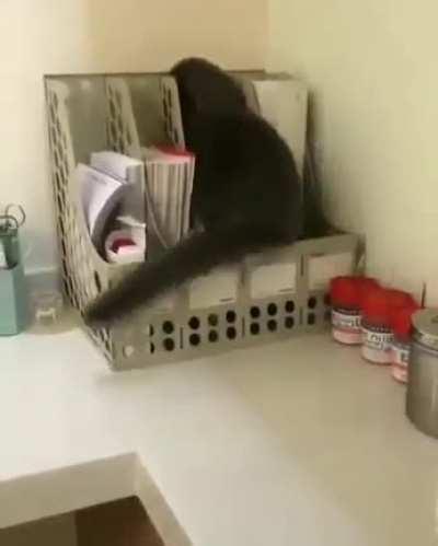 organized themselves