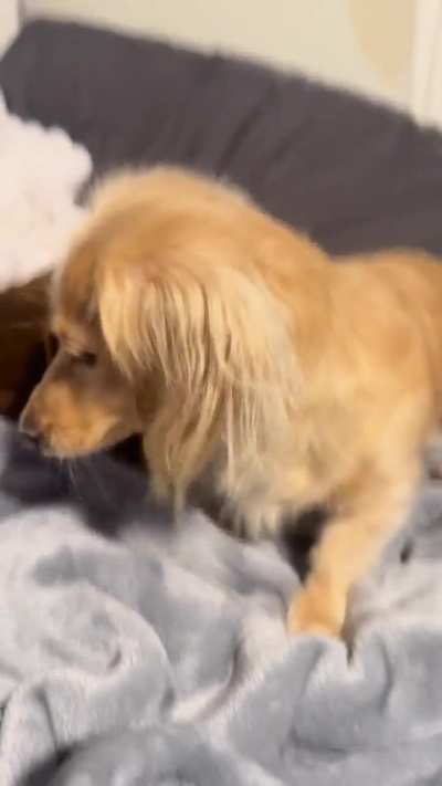 Help! Is this normal?