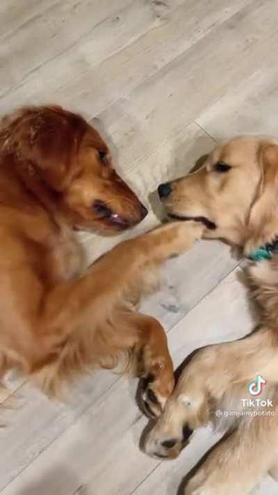 Their first kiss went like…