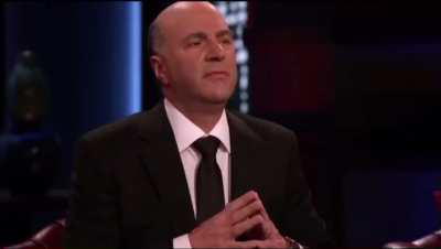 Holu molly spontbib ans patgang on shak tank