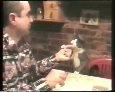 The cat communicates using signs with her deaf owner instead of meowing..