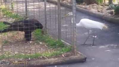 Remember kids, stealing is wrong