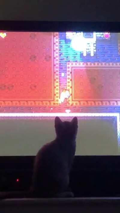 She likes the guon stones. (Her name is Hange!)