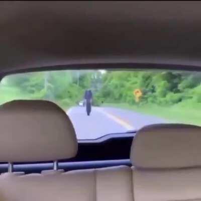 Quite fortunate all things considered