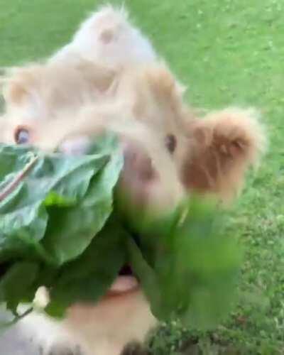 What a precious baby ❤️