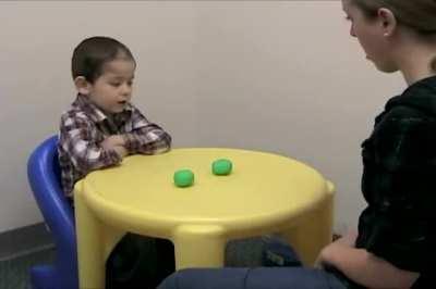 A typical child on Piaget's conservation tasks