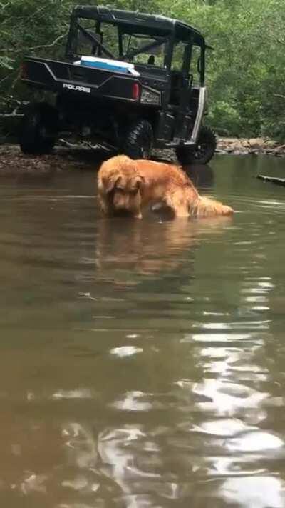 He’ll do this for hours and hours despite his lack of success. Fishing for tiny perch in the creek is his favorite pastime.
