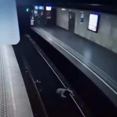 This train driver deserves a prize for those reflexes!!