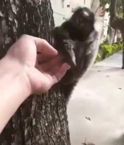 Сделаю вам утро субботы чуточку добрее и милее