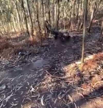 Praise both of these camera men for keeping the crash in frame through the whole thing. That had to hurt!