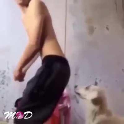 😳😳😳😳😳😳🐶🐶🐶