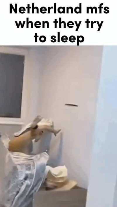 Netherlands or something idk I've never been there