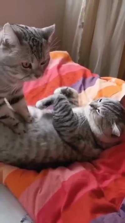 how to make your friend fart