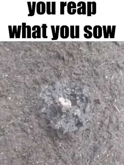 when i touch the grass