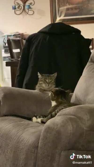 Miscatculated sneakiness abilities