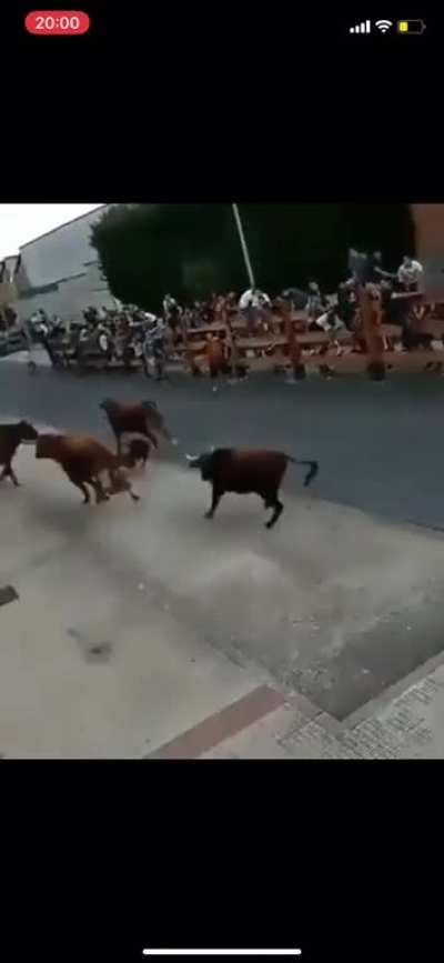 Bro is the main character