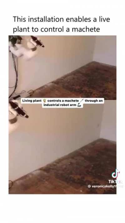 Standard UK city dweller 