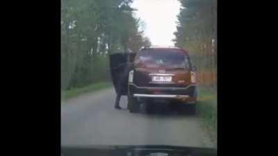 Всегда есть рыбка покрупнее