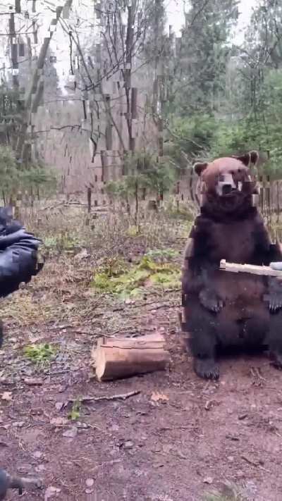 Bro saw the honey and began applauding