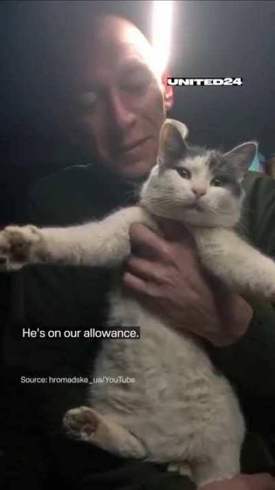 Treasure in the Trench: A cat psychologist