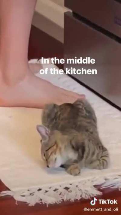 She always looks so comfy tho