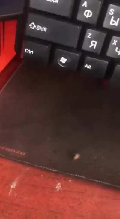 Thanks, I hate this keyboard