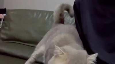 Why are you so mean to me?