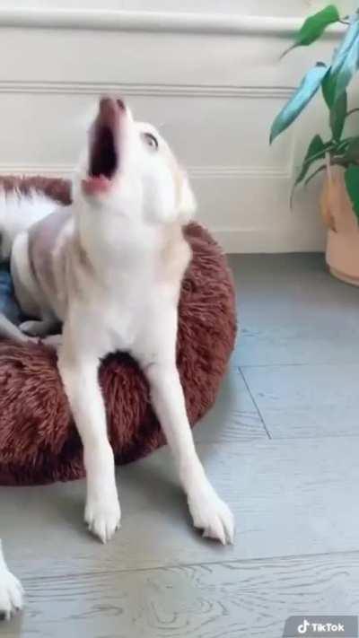 Some of his least favourite things