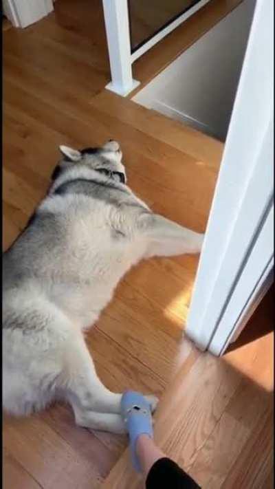 The voice of an angel...