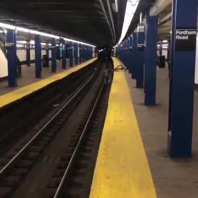 Meanwhile somewhere in the Bronx