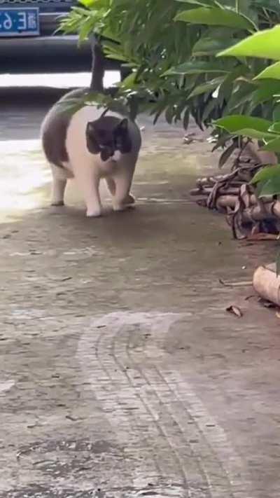 Его стоит бояцца 