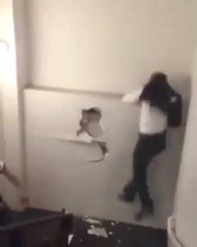 What are they trying to accomplish