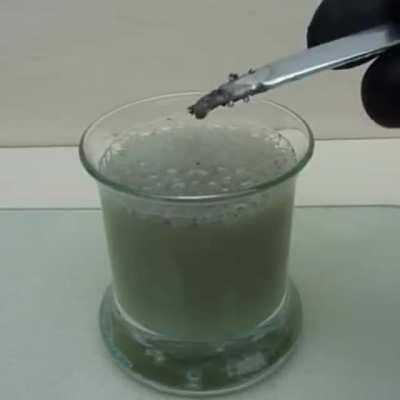 Eu já vi gente burra mas esse daqui supero