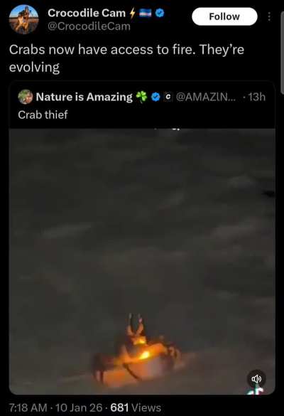 Technically it's just a plastic candle, but still a step in the right direction for crab-kind